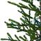 3ft. Pre-Lit Alpine Coral Artificial Christmas Tree, Clear Lights
